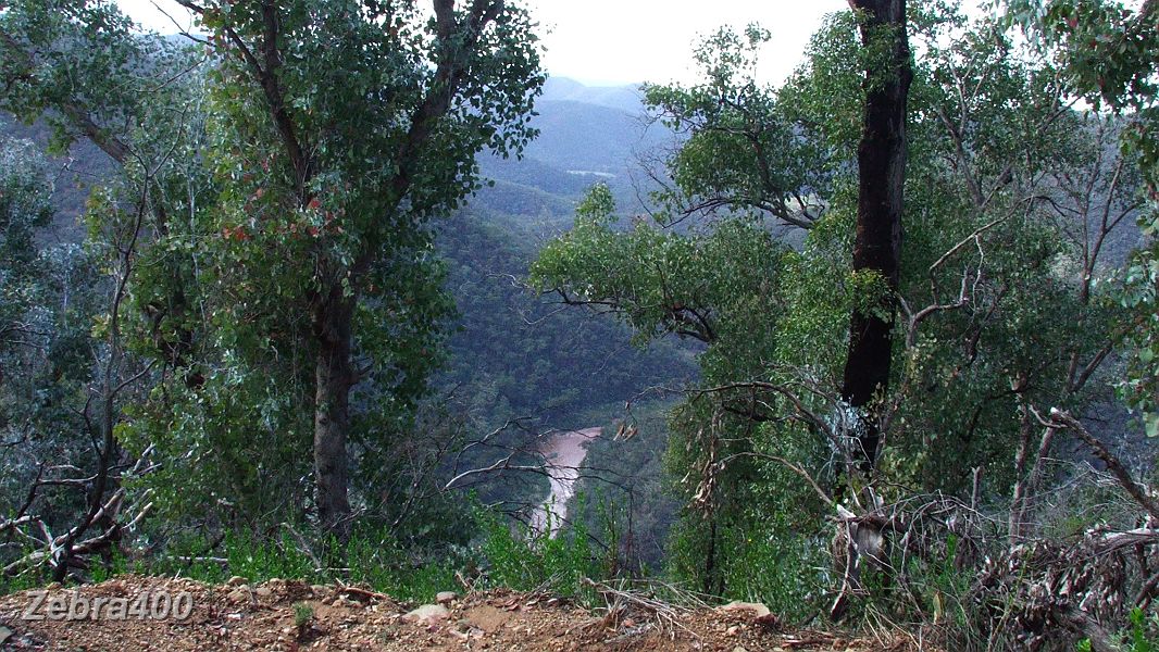 11-Magical views of the Macalister River from Burgoynes Track.JPG